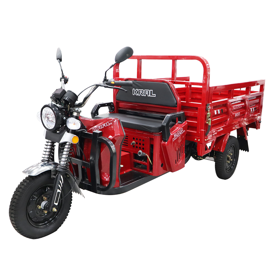 Benzinli 3 Tekerli Mopedler